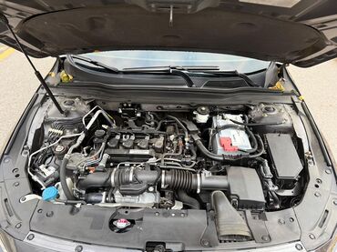 Honda: Honda Accord: 2019 г., 1.5 л, Вариатор, Бензин, Седан — 9