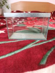 рыба на подушке в духовке: Продаю аквариум длина 28.высота 18.ширина 13. 6 литров+ крышка цена