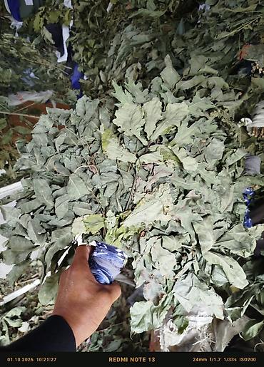 Веник оптом из разных лечебных трав основа ДУБ