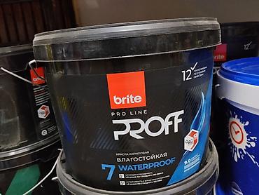 акриловые краски для ванны цена: Краска акриловая влагостойкая brite Pro Line PROFF Waterproof. - — 1