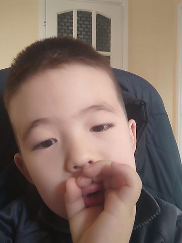 Калитки для ворот: Калитки для ворот Металлические — 1