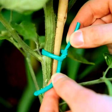 Qayçılar, bıçaqlar: Yeni Bağ qayçısı, Rayonlara çatdırılma, Ödənişli çatdırılma, Ünvandan götürmə — 3