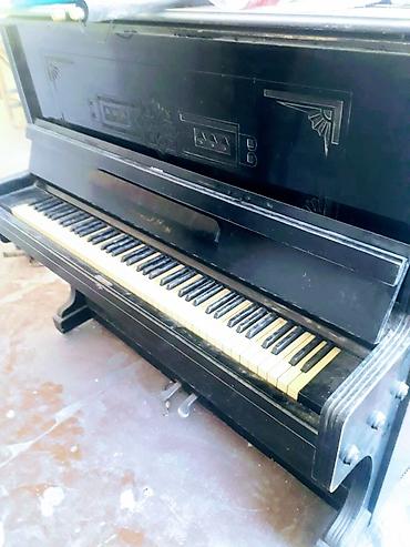 Klavişli alətlər: Rostov-Don akustik piano - Model: Rostov-Don upright (divar tipi) — 5