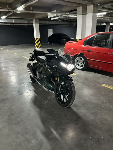 Мотоциклы: Продаю SUZUKI GSX250R г.в.: 11.2021 пробег: 8.400 км — 17