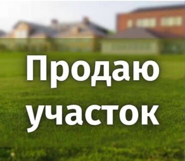 продаю дом село нижний орок: 45 соток, Бизнес үчүн, Кызыл китеп