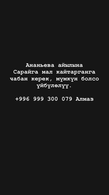 отель ночь: Требуется чабан для возвращения/сбора скота в сарай в селе Ананьева