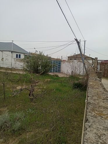 Torpaq sahələrinin satışı: 30 sot, Mülkiyyətçi, Kupça (Çıxarış) — 14