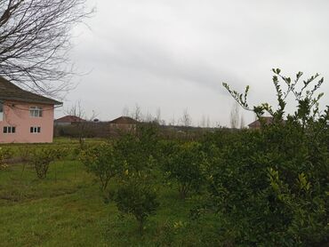 Həyət evləri və villaların satışı: 4 otaqlı, 100 kv. m, Kredit yoxdur, Yeni təmirli — 16