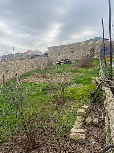 şuvalan: 5 sot, Biznes üçün, Mülkiyyətçi, Kupça (Çıxarış) — 5