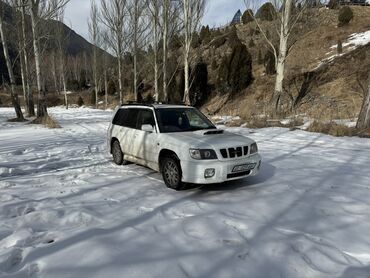 Subaru: Subaru Forester: 2001 г., 2 л, Автомат, Бензин, Универсал