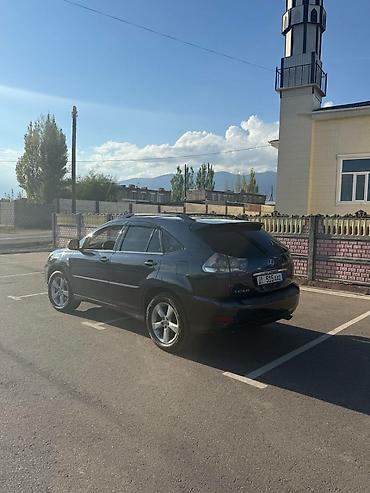 10 лет в одних руках: Lexus RX: 2003 г., 3.3 л, Автомат, Газ, Кроссовер — 2