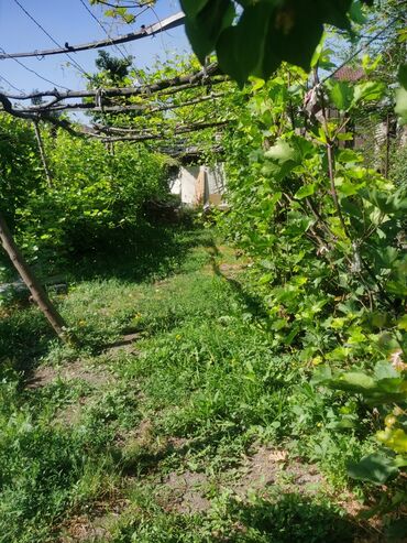 Продажа домов: Дом, 1200 м², 4 комнаты, Собственник, Косметический ремонт — 15