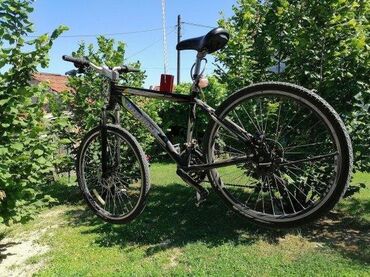 Ostali pribor i dodaci za alate: **SAMO POZIV SMS VIBER ZA DOGOVOR****__ 064-012-1234****✅****__ NA KP — 14