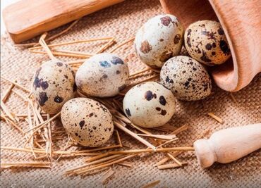 яйца фазана: Яица перепелиные.можно на инкубацию или для использования в лечебных