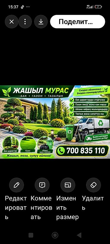 леггорн: Ландшафтные и клининговые услуги «Жашыл Мурас» — бак • газон • тазалык — 1