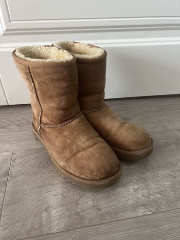 ортопедические обувь: Уггилер, 37.5, UGG, Колдонулган, түсү - Сары, Өзү алып кетүү