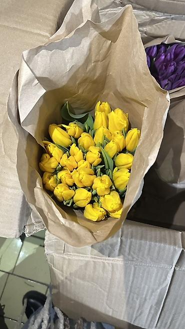 Букеты из живых цветов: Тюльпаны, срезка в крафт-упаковке. - Ассортимент оттенков — 2