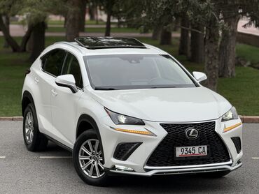 Lexus: Lexus NX: 2018 г., 2 л, Автомат, Бензин, Кроссовер