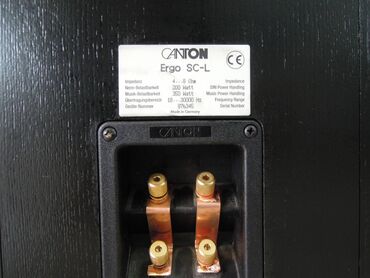 Zvučnici i stereo sistemi: Canton Ergo SC-L + Control unit Kao novi, ispravni zvučnici više — 9