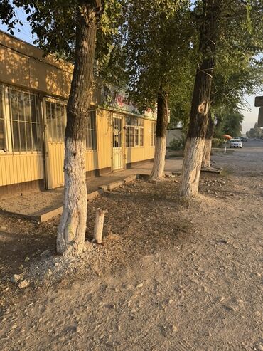 купить комнату в доме под снос: Ижарага берем Павильон, 20 кв. м, Ремонтсуз, Жарым-жартылай жабдуулары менен, Суу, Канализация, Электр жарыгы