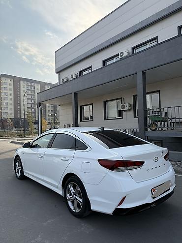 sonata hybrid: Hyundai Sonata: 2020 г., 2 л, Автомат, Газ, Седан — 4