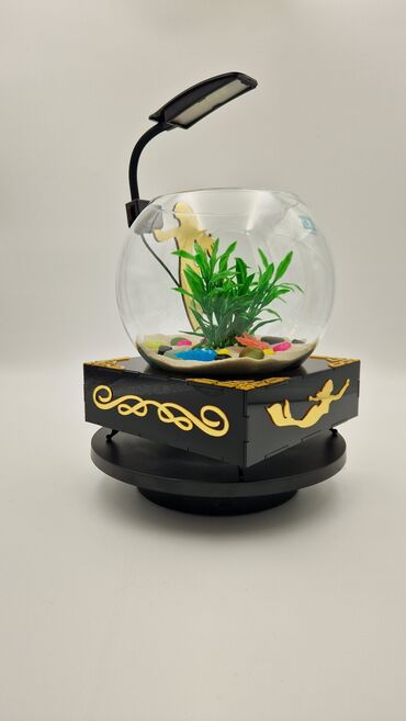 Akvariumlar: Yumru akvarium, Balıqlarla birlikdə, 3 l, Pulsuz çatdırılma — 1