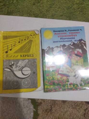 Другие учебники: Учебники для школы — 18