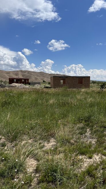 Продажа участков: 600 соток, Для сельского хозяйства, Красная книга, Тех паспорт, Договор купли-продажи — 25