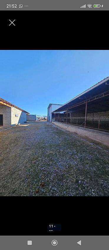 Продажа коттеджей и домов: Продается современный кошар с домом в селе Чокморов 💸=440000$+торг — 7