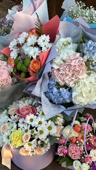 комнатные цветы герань: Ассортимент свежих букетов и цветочных композиций, представленный в