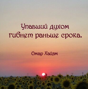 туалет жумуш: Ашкананын фартугу, Ваннадагы плиткаларды төшөө, Плиткаларды дубалга төшөө | Карапа плиткасы, Керамогранит плиткасы, Мозаика плиткасы | Тикелей төшөө, Диагоналдуу төшөө, Горизонталдуу төшөө 6 жылдан ашык тажрыйба