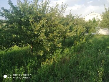 Bağ evlərinin satışı: Lerik, 115 kv. m, 3 otaqlı, İnternet, Telefon, Qaz — 8