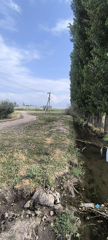 Продажа участков: 100 соток, Для сельского хозяйства — 5