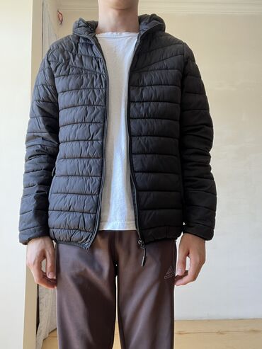Kurtkalar: Kurtka, Bolonka, Qış, Zara