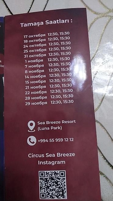 Аниматоры: Məhsul: The World of Adrenaline – Circus Sea Breeze VIP Card və şou — 2