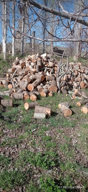 1 куб дров цена: Дрова Самовывоз