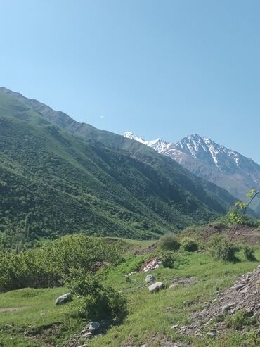 аренда замена масло: 225 соток Для сельского хозяйства