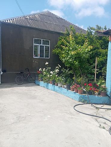 bağca satılır: Bakı, Buzovna, 200 kv. m, 6 otaqlı, Hovuzlu, İnternet, Qaz, İşıq — 5