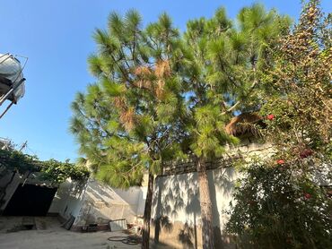 Bağ evlərinin satışı: Bakı, Mərdəkan, 80 kv. m, 3 otaqlı, Hovuzsuz, Artezian quyusu, Kombi, İnternet -da lalafo.az — 11 Bağ evlərinin satışı: Bakı, Mərdəkan, 80 kv. m, 3 otaqlı, Hovuzsuz, Artezian quyusu, Kombi, İnternet — 11