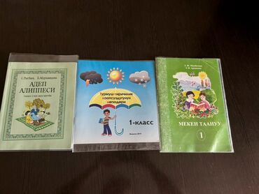 Кыргызский язык и литература: Кыргызский язык, 1 класс, Б/у