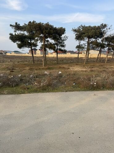 Torpaq sahələrinin satışı: 100 sot, Biznes üçün, Makler, Kupça (Çıxarış), Texniki pasport — 7