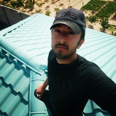 Çerepitsa: Metal dam örtükləri, rəng - Gümüşü, Pulsuz çatdırılma, Zəmanətli, Kredit var — 18