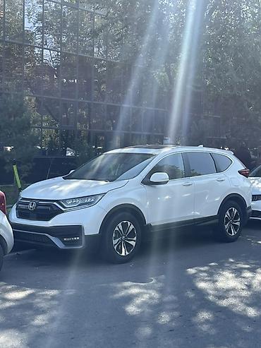 серв: Honda CR-V: 2022 г., 1.5 л, Автомат, Бензин, Кроссовер — 3