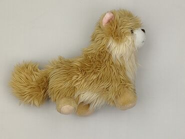 klapki z futerkiem na obcasie: Mascot Dog, condition - Very good