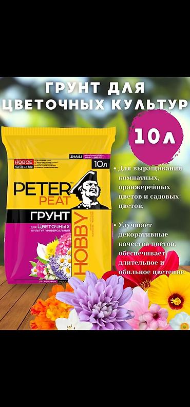 Питэр Пит» (Peter Peat) — это один из крупнейших российских