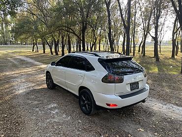 Lexus: Lexus RX: 2005 г., 3.3 л, Автомат, Бензин, Кроссовер — 7