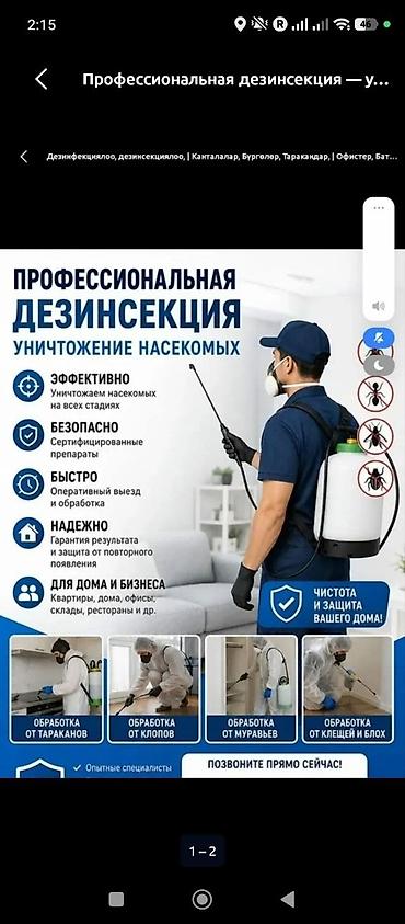 Дезинфекция, дезинсекция, | Клопы, | Офисы at lalafo.kg Дезинфекция, дезинсекция, | Клопы, | Офисы