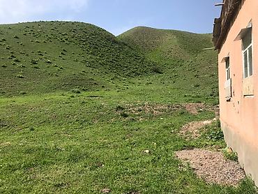 Кыймылсыз мүлк: Сдаю в аренду кошару сарай Чуйский район Чуйская область село Шамши — 8