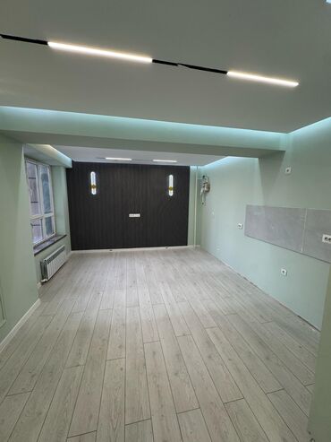 без ан: 2 комнаты, 43 м², Элитка, 4 этаж, Евроремонт