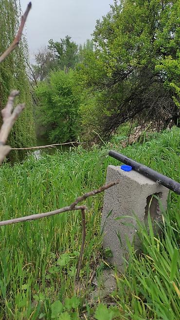 Долгосрочная аренда домов: 50 м², 2 комнаты — 5